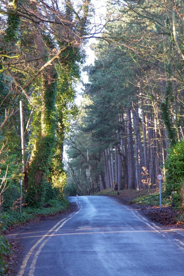 Formby Pinewood Studio Bed & Breakfast ภายนอก รูปภาพ